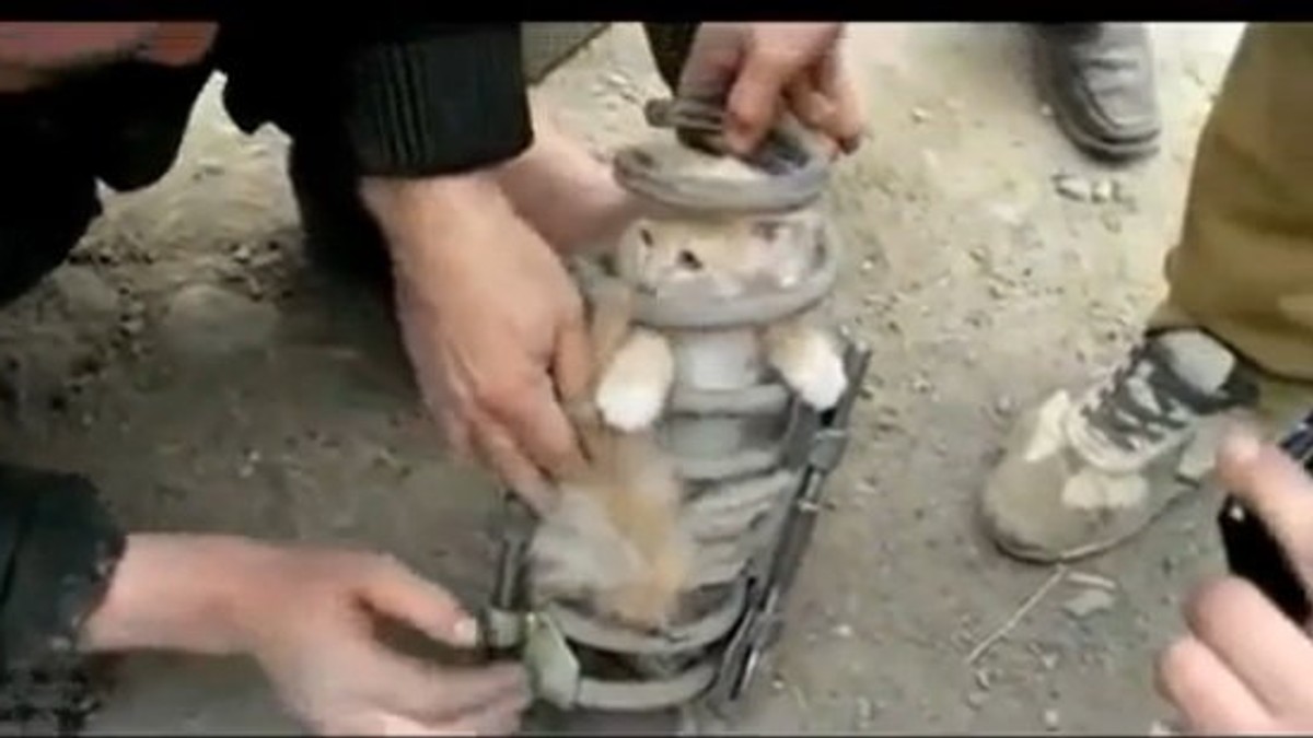 489439_maca-u-amortizeru