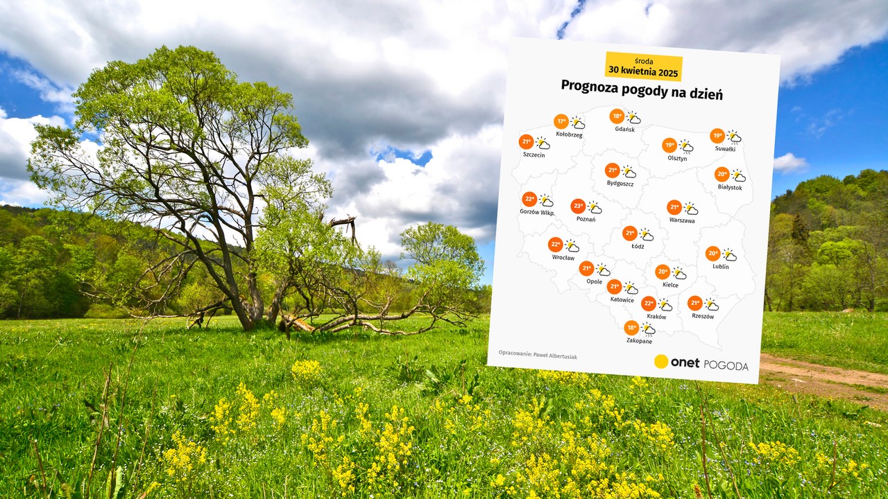 Ciepło i słonecznie, a deszcz tylko miejscami. Wiosna pokaże najlepsze oblicze [POGODA]