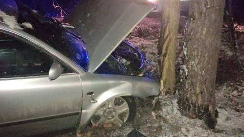 Lubuskie. Mężczyzna rozbił samochód na drzewie. Kierowca był pijany