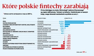 Które polskie fintechy zarabiają?