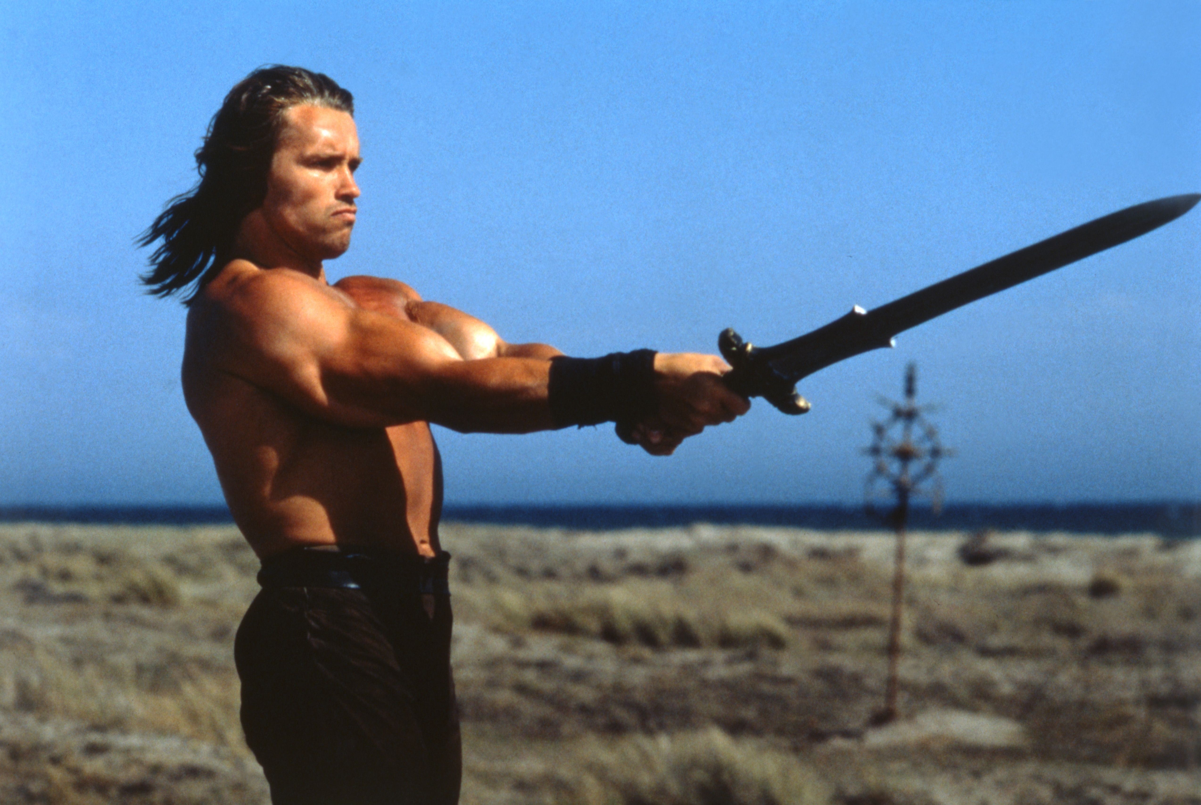 The Unexpected Truth About Arnold Schwarzenegger'S Language Skills - 3f0v29i