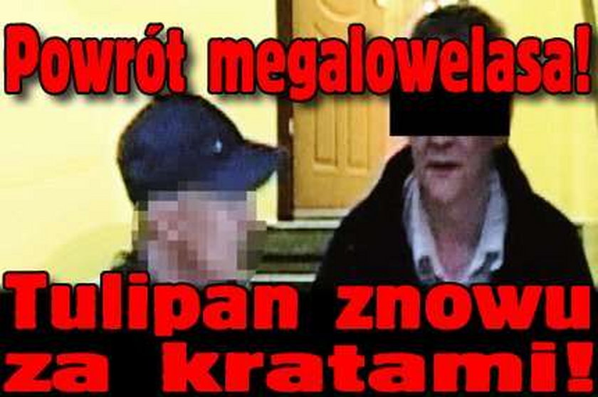 Powrót megalowelasa! Tulipan znowu za kratami!