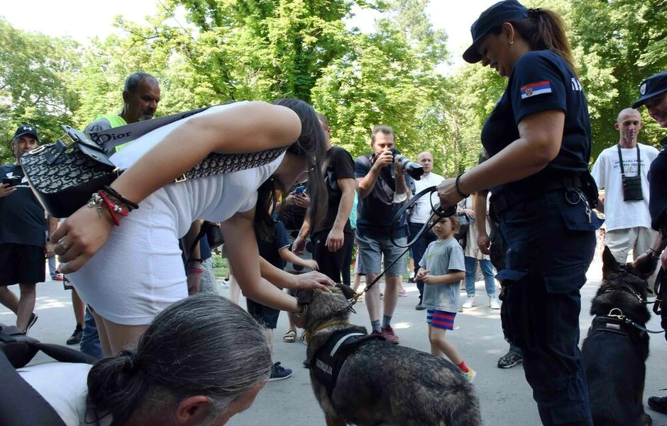 Dan MUP-a na Kalemegdanu