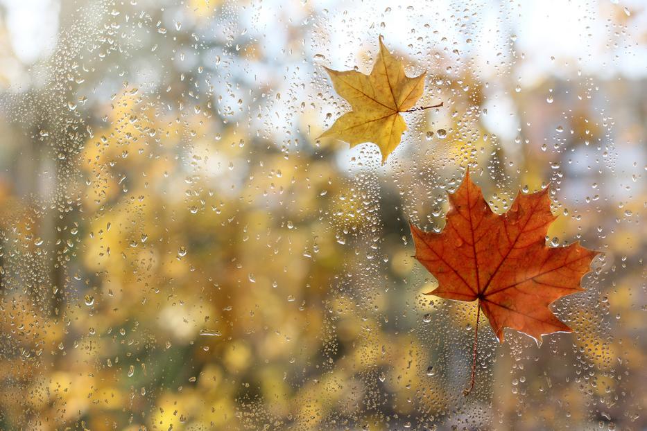 Rossz hírünk van: ezt jósolják az idei őszi időjárásról, jobb, ha már most felkészülsz  fotó: Getty Images