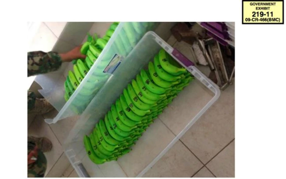 Plastične banane sa drogom, su među dokazima protiv narko bosa