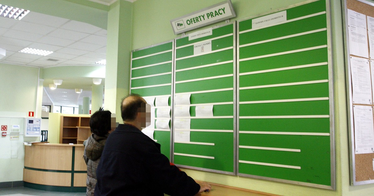 W tych branżach i zawodach pracy nie braknie. Przyjmują na potęgę