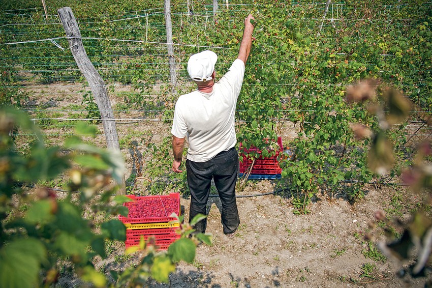 Malinari očekuju pomoć