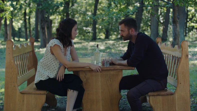 Serija "Beležnica profesora MIškovića"