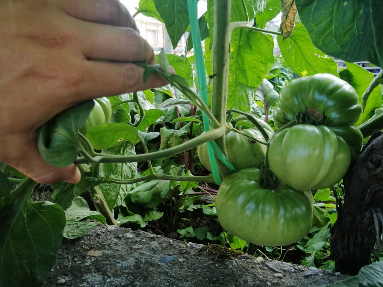 Gradske bašte u Gradiški