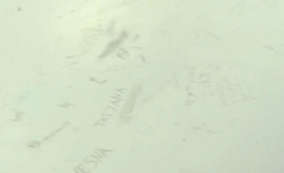 Bela kuća nakon finala