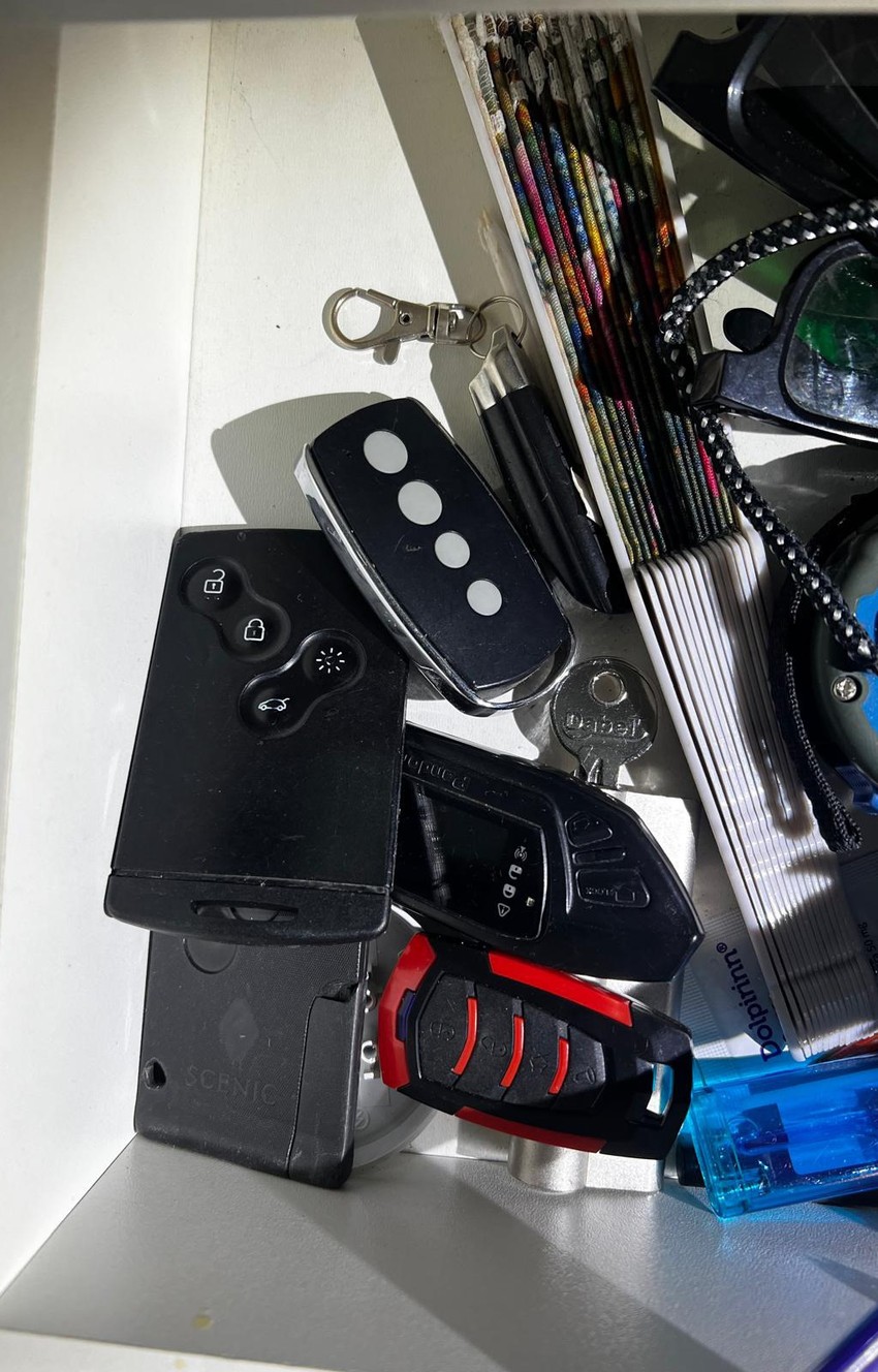 Zaplenjeni automobili