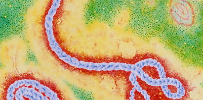 Fakt obala 7 medycznych mitów na temat Eboli