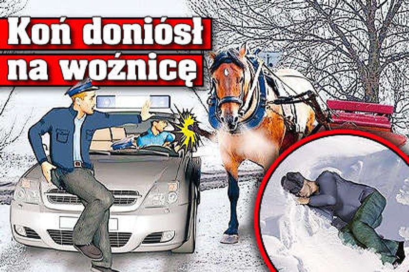 Koń doniósł na właściciela