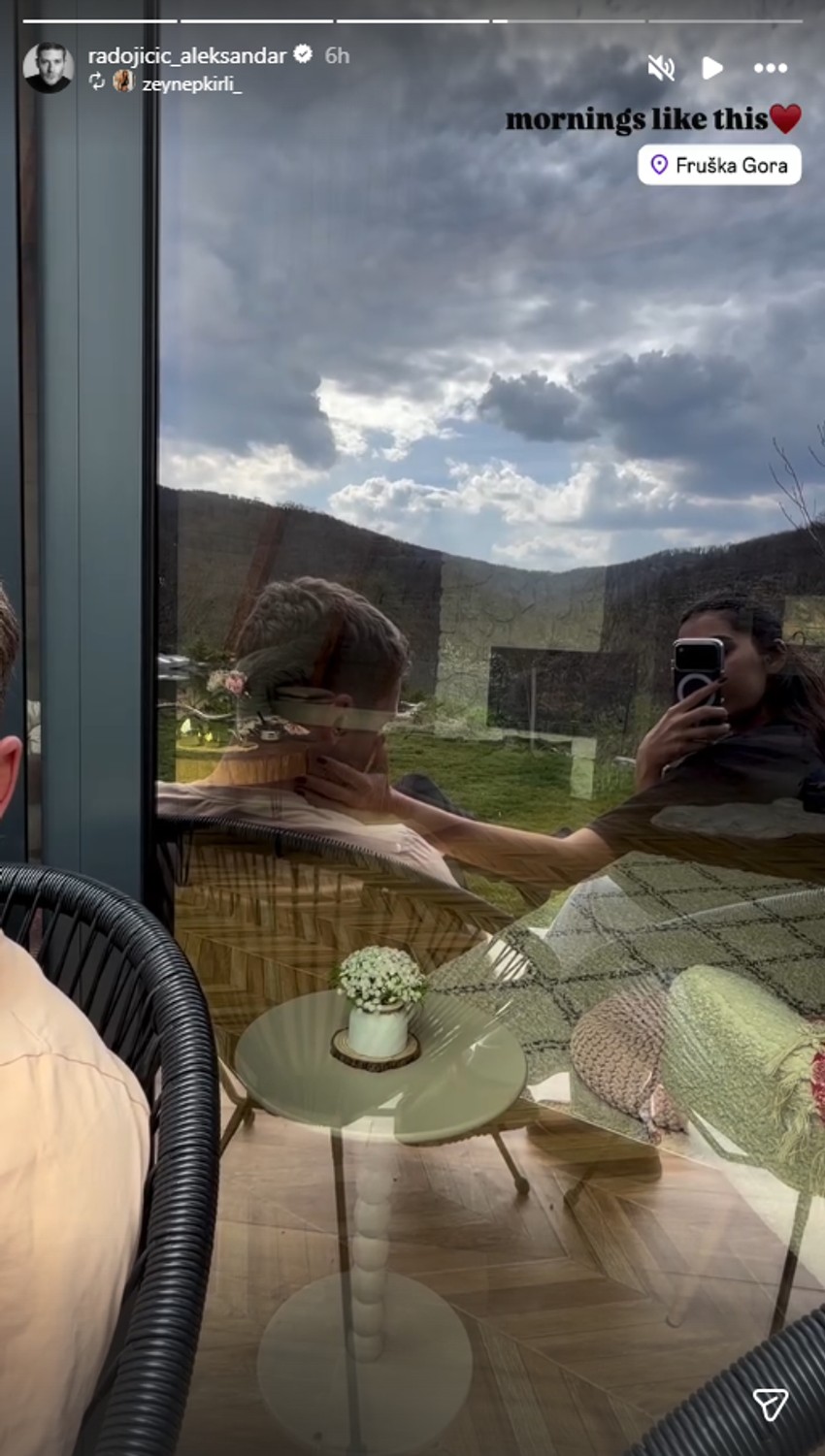 Aleksandar Radojičić, objava