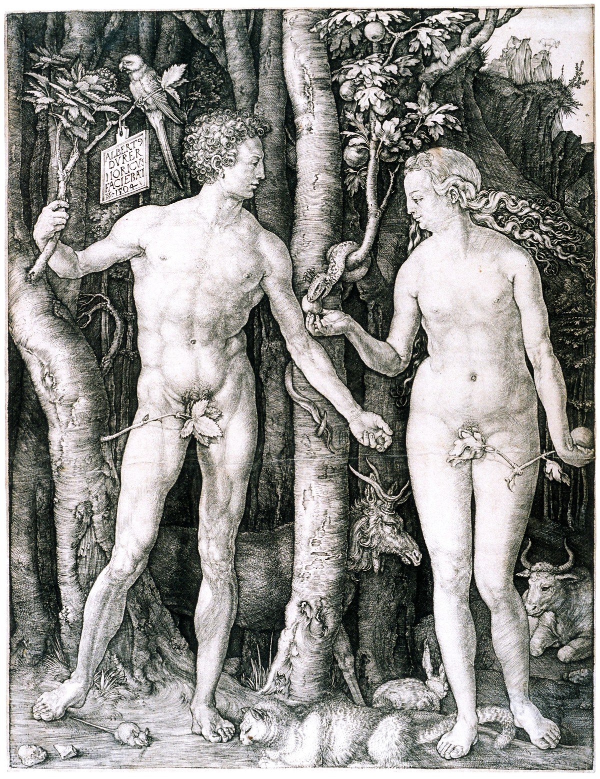Magiczny Albrecht Dürer w Libercu