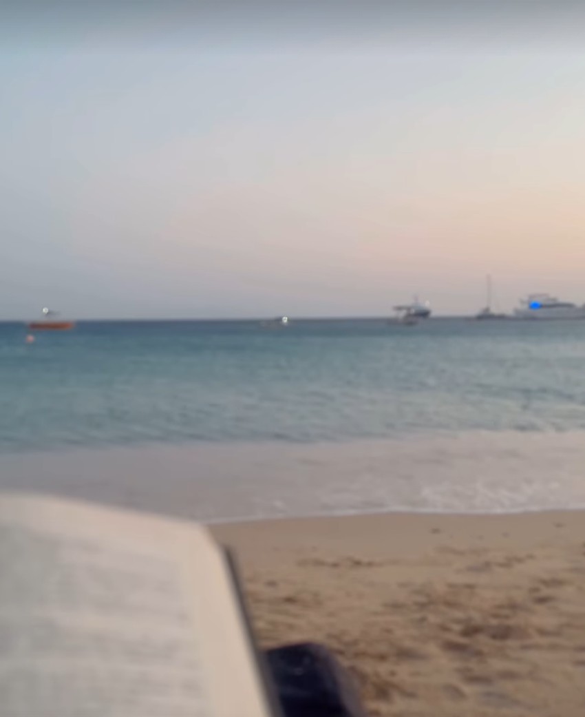 Sloboda Mićalović na Mikonosu