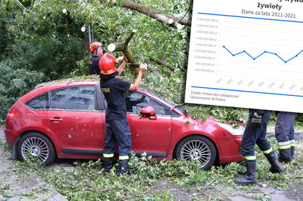 Trend nie jest naszym przyjacielem. Te wykresy pokazują, ile kosztuje nas kryzys klimatyczny