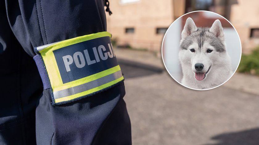 Kalisz. The killer came to feed and release his victim’s dog