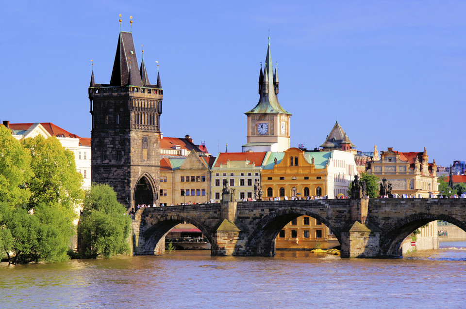 16. Czechy - udział 0,4%, wzrost 10,8% 