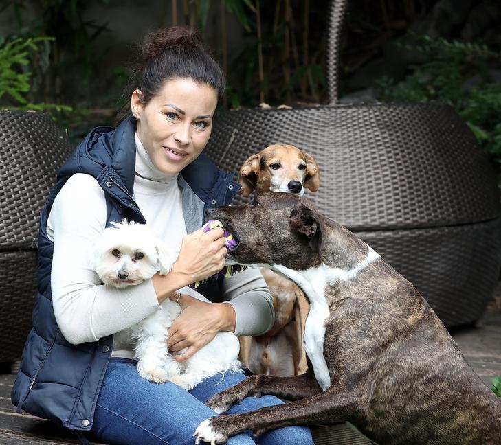 Tornóczky Anita állatvédő nem csak a kutyákat ismeri jól, hanem a szaporítókat is, akik óriási károkat okoznak /Fotó: Pozsonyi Zita
