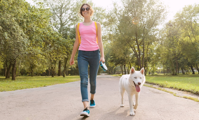 Czy wiesz, że nawet krótki spacer po nagrzanym asfalcie może skończyć się poparzeniem skóry łap u psa? Jest sposób, by sprawdzić, czy temperatura chodnika osiągnęła krytyczne wartości! 