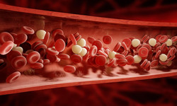 Trombocyty. Płytki krwi, zaburzenia krzepnięcia i inne schorzenia