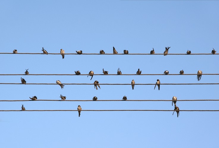 2. Konflikt jest nieuniknioną częścią życia. Zdrowe firmy potrafią zarządzać konfliktem w taki sposób, aby wydobyć z niego twórczy potencjał. Każde starcie stanowisk, różne zdania mogą niespodziewanie rzucić nowe światło na dotychczasowe praktyki w organizacji. Co więcej, najlepsi liderzy celowo kreują strukturę, w której niczym w laboratoryjnej retorcie we względnie bezpiecznych warunkach można testować krytyczne dla  danej organizacji procesy i „zderzać” ze sobą różne pomysły. Efekty mogą być spektakularne i bardzo korzystne dla organizacji. W firmie, gdzie konflikty są pozostawiane bez zarządzania, z czasem rosną i rozsadzają atmosferę w organizacji od wewnątrz, uniemożliwiając skuteczną i satysfakcjonującą pracę niemal wszystkim.
