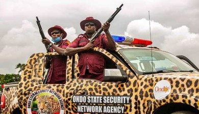 Herdsmen clash with Amotekun operatives after destroying farms in Ondo