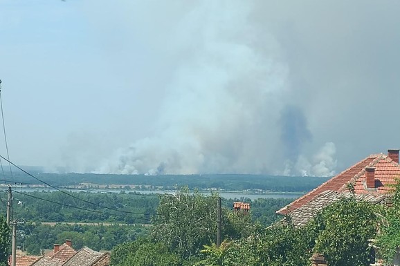 (FOTO) VATRA IZ DELIBLATSKE PEŠČARE VIDI SE I IZ POŽAREVCA, 25 KM DALJE!  Glamočić i Čaušić na terenu: "Jačanje vetra otežava situaciju"