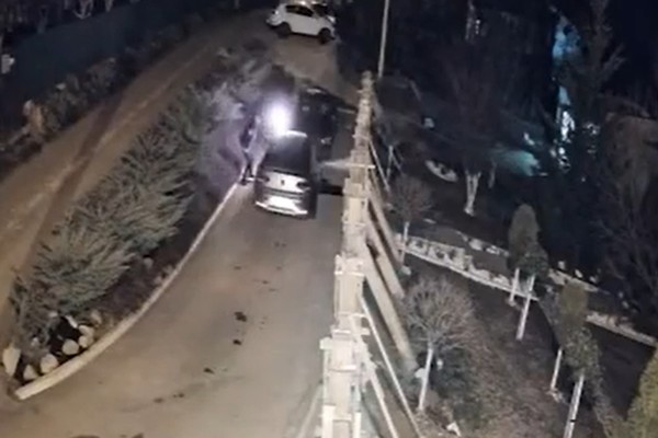 Švajcarska/Ilustracija