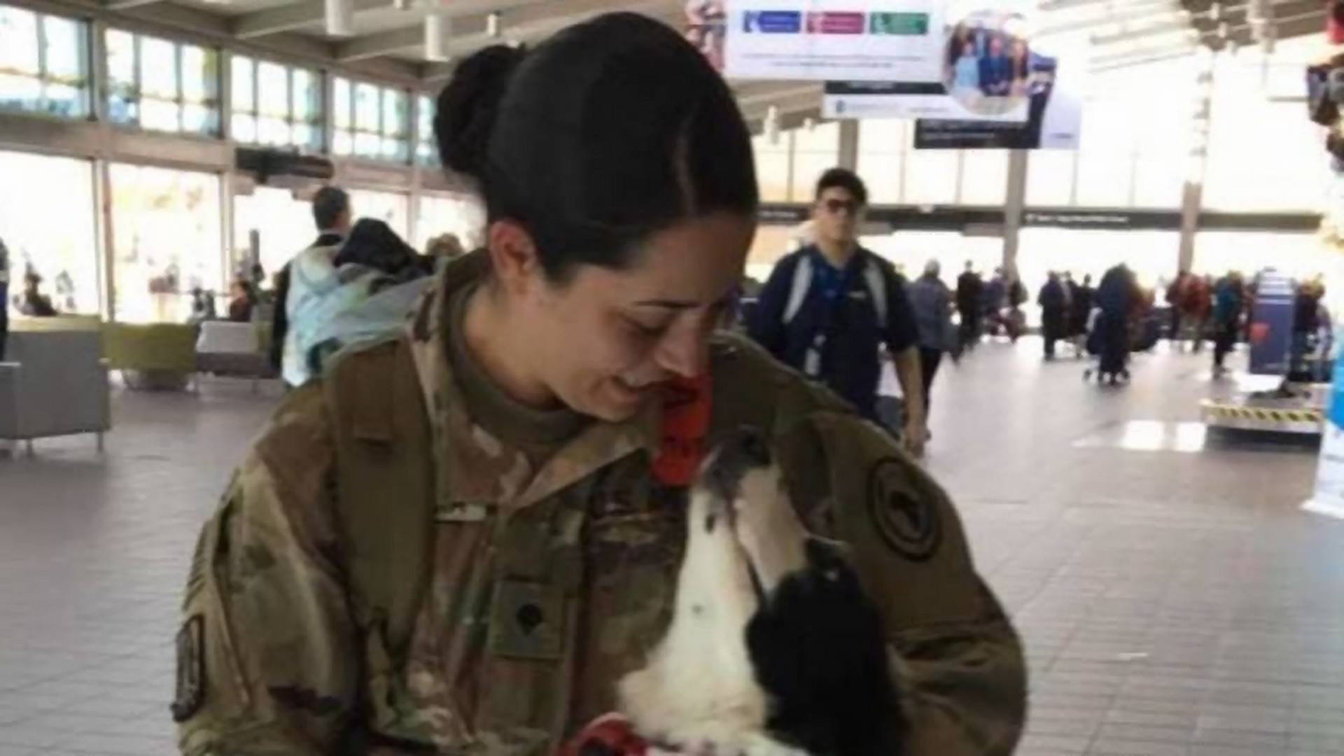 Cuki videó: így reagált a kutyus, mikor meglátta a seregből hazatérő gazdiját