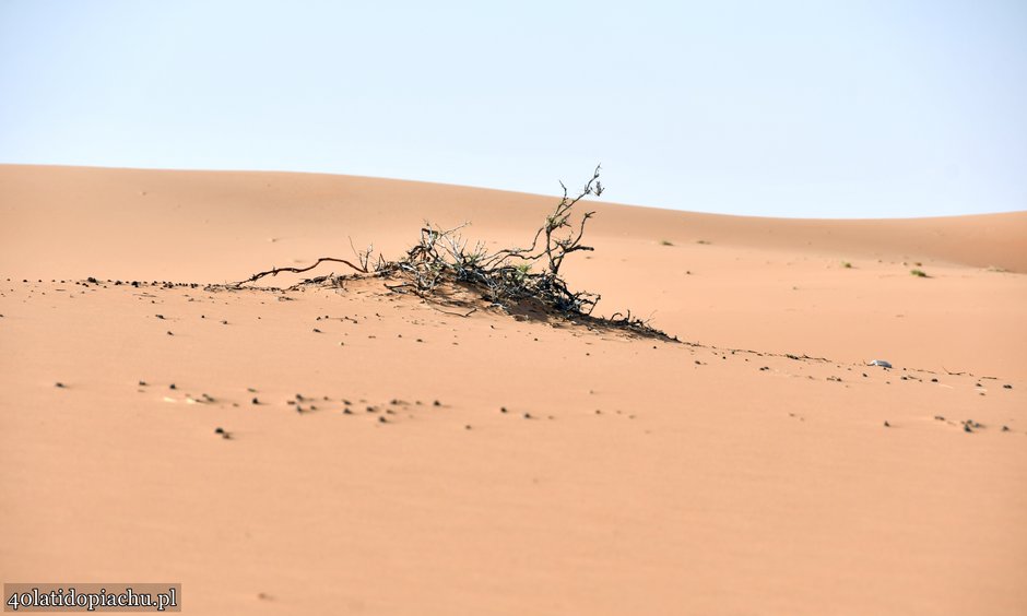 Arabia Saudyjska, wyprawa na pustynię Ar-Rab al-Chali