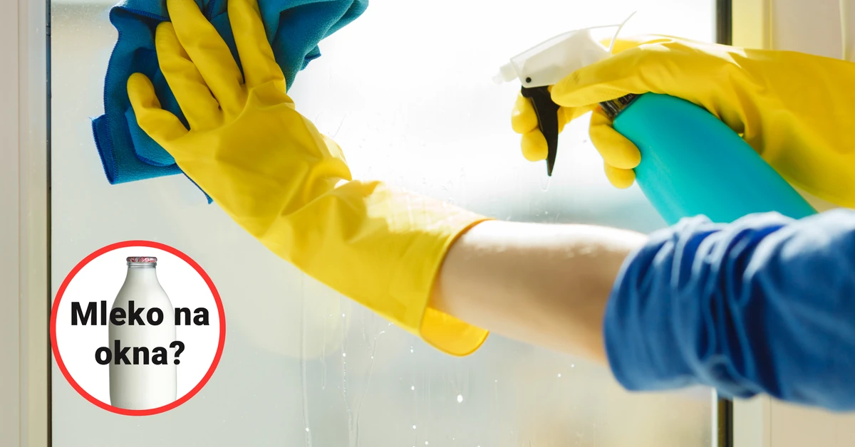 Mleko na okna? Ta babcina metoda ma naukowe uzasadnienie - i działa lepiej niż myślisz