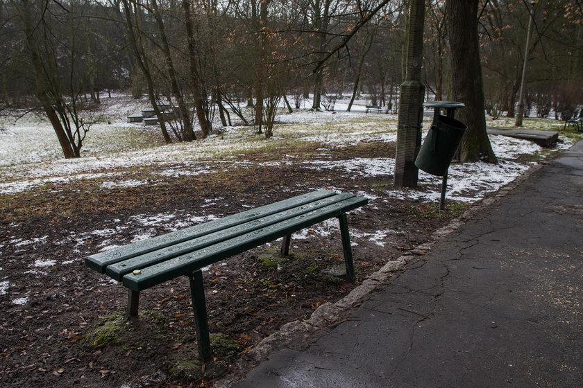 Park Bednarskiego wypięknieje