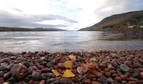 Prawda o potworze Loch Ness