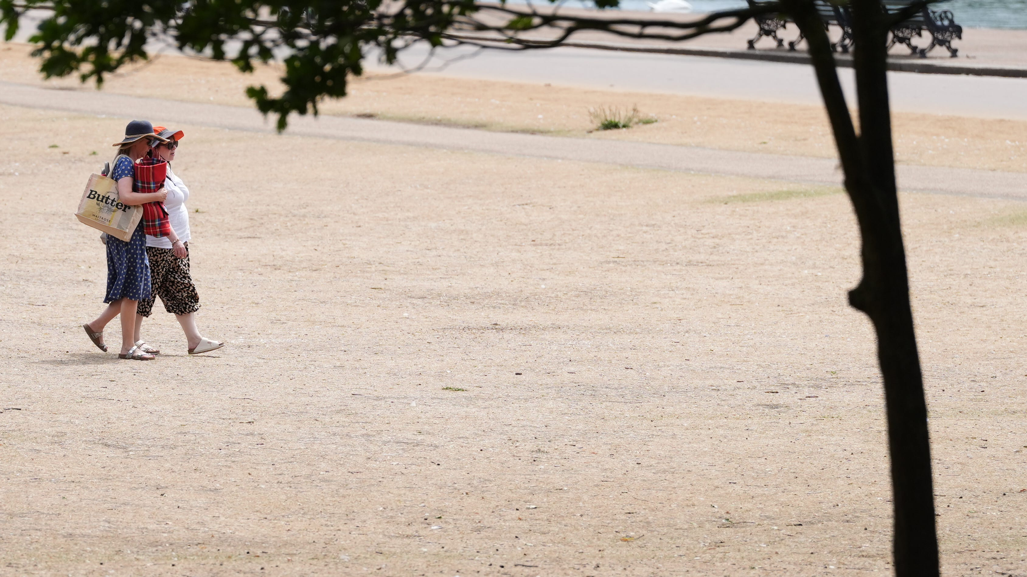 UK July heat records: 40.3C peak and rising temperatures