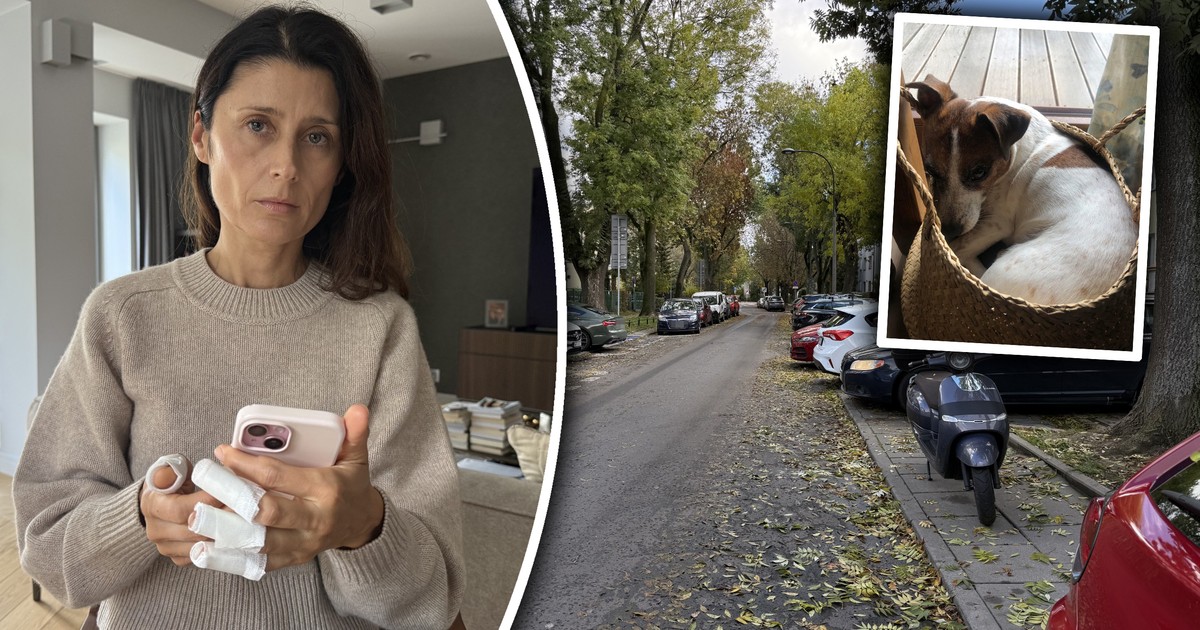 Koszmar na Saskiej Kępie. "Ta bestia wyskoczyła nagle. Mój ukochany pies nie żyje"