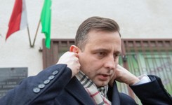 Prezes PSL: Sytuacja z wołowiną to katastrofa. Odpowiada za nią minister Ardanowski