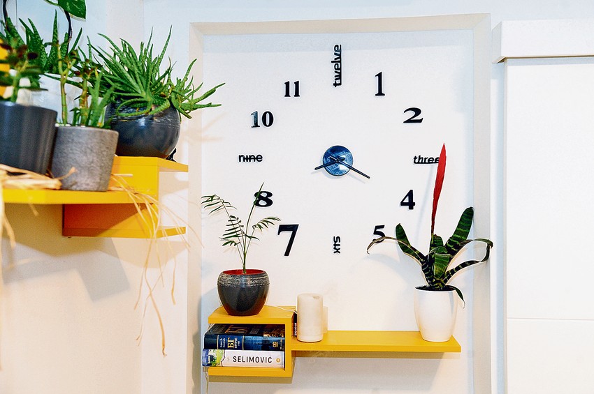 Na gajbi kod Milana Pajića