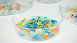 Alarmujące odkrycie naukowców. Mikroplastik w mózgu