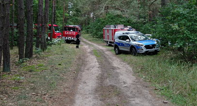 Niebezpieczne wyprawy do lasu. Policja ostrzega grzybiarzy