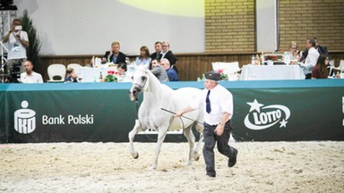 Wniosek PO ws. aukcji w Janowie Podlaskim