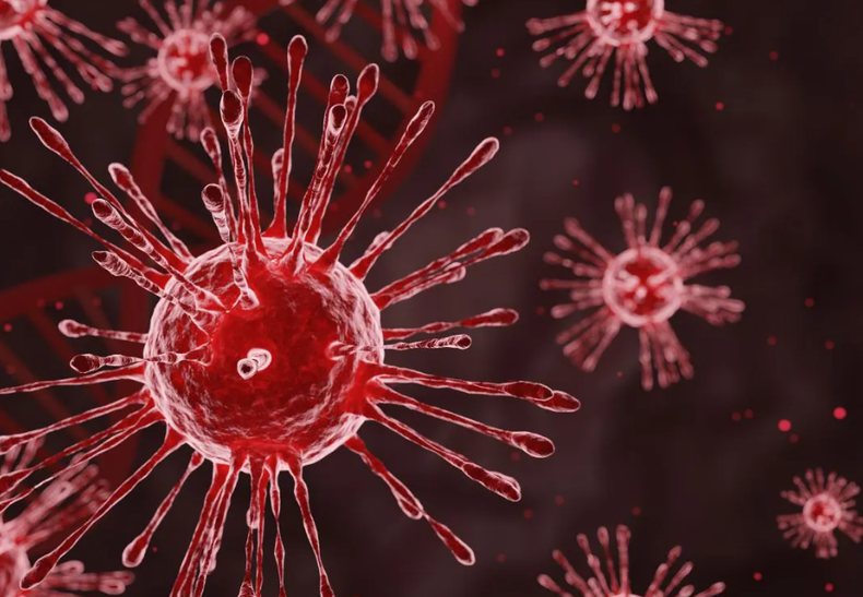 HMPV is a single-stranded RNA virus transmitted via respiratory droplets or contact with contaminated surfaces
