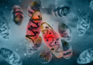 Kugu izaziva bakterija Yersinia pestis