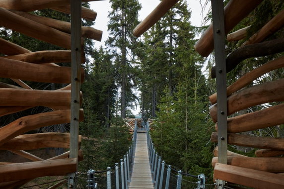 W Karkonoszach zbudowali park rozrywki z ogromnymi rzeźbami. Oto Pecka Playspace