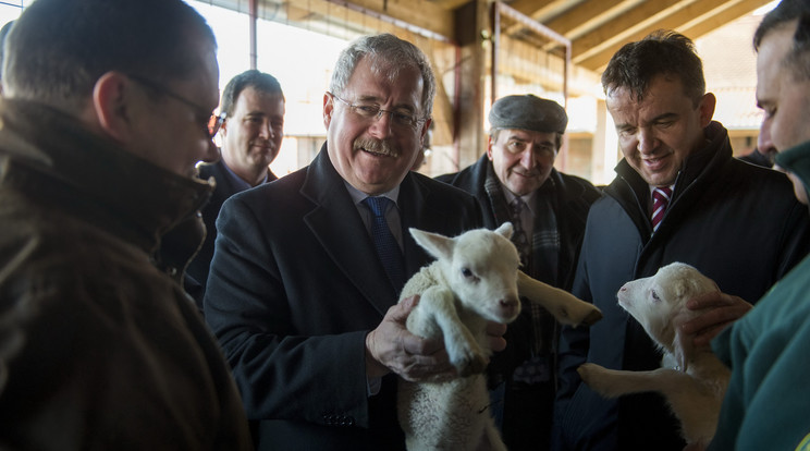 Jól fizetnek a kazah juhokról szóló cikkek/Fotó-MTI Sóki Tamás