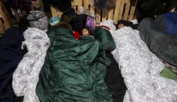 Białowieska Akcja Humanitarna: Nasz spokojny las stał się grobowcem