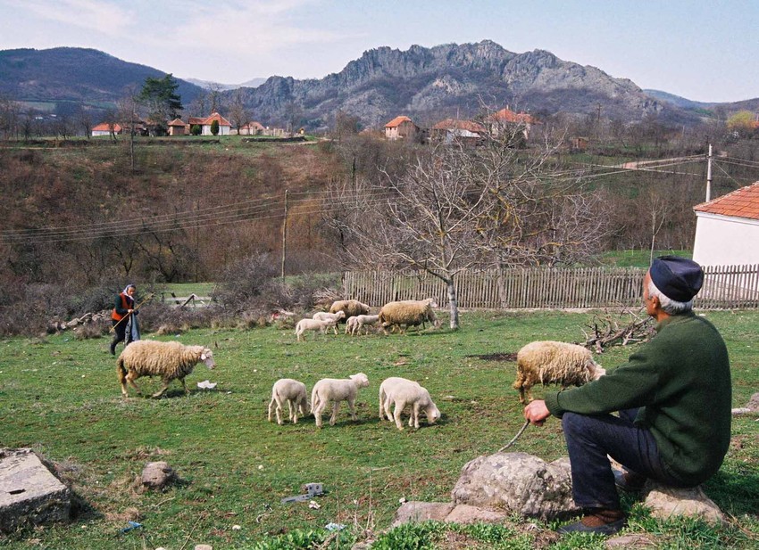 Proizvodima srpskog sela potrebna zaštita u EU