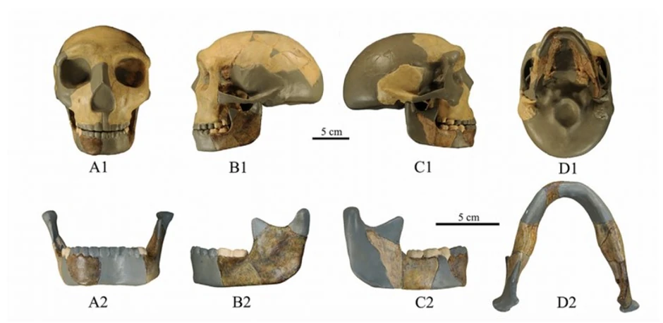 Pronađena drevna ljudska lobanja koja ne nalikuje nijednoj do sada