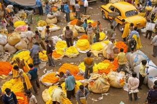 "Ceny oszalały". Tylko w grudniu warzywa w Indiach zdrożały o 60 proc.